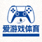 爱游戏体育官网页脚小型品牌标识图案