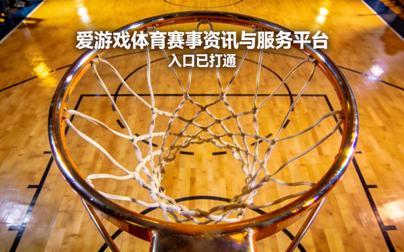 爱游戏体育赛事资讯与服务平台入口打通 - 篮球场地与篮筐特写